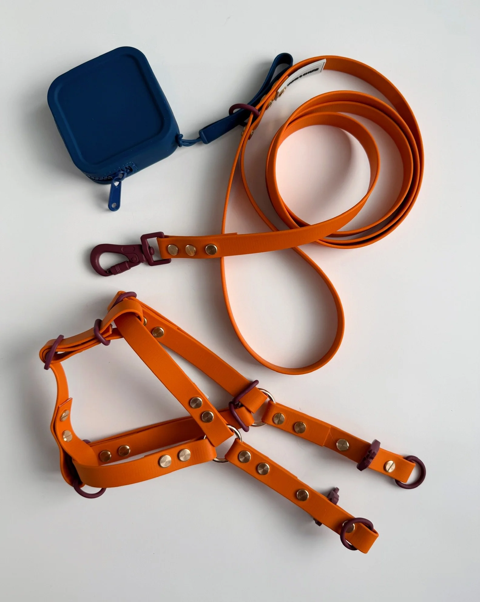 HUND WALK HARNESS BUNDLE - LATTES & TAILS COLLECTION