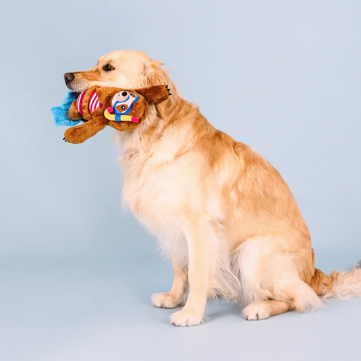 Golden retriever playing with Fringe Studio Swimmin With The Fishes ocean themed squeaky plush dog toy available at Hund and Shore