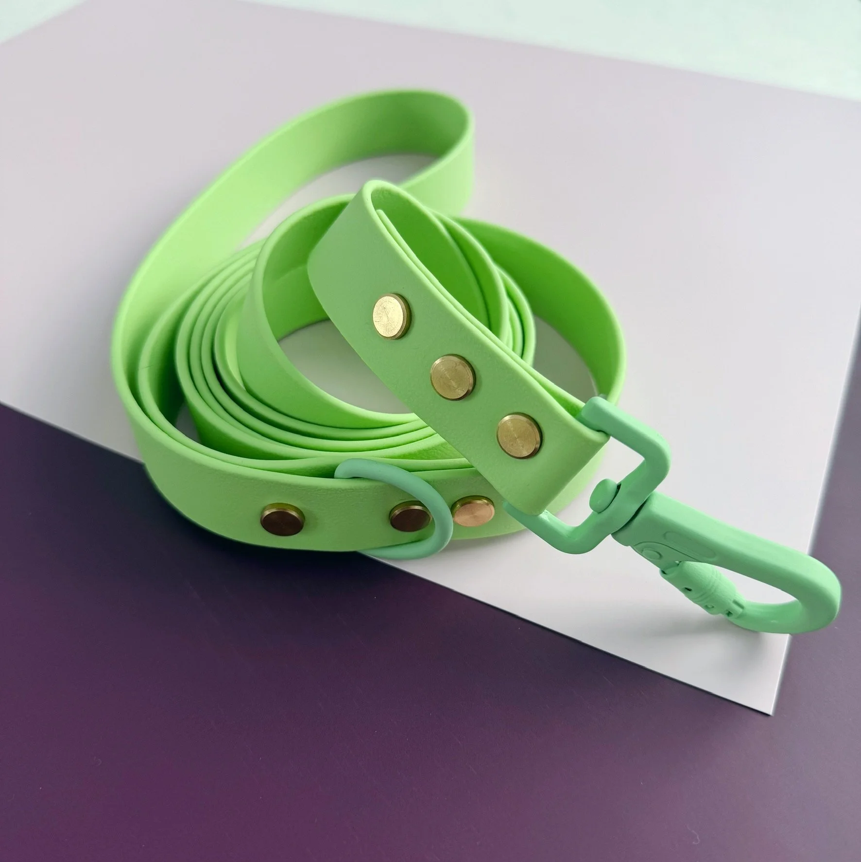 DOG LEASH - FLORA COLLECTION - SWEET PEA