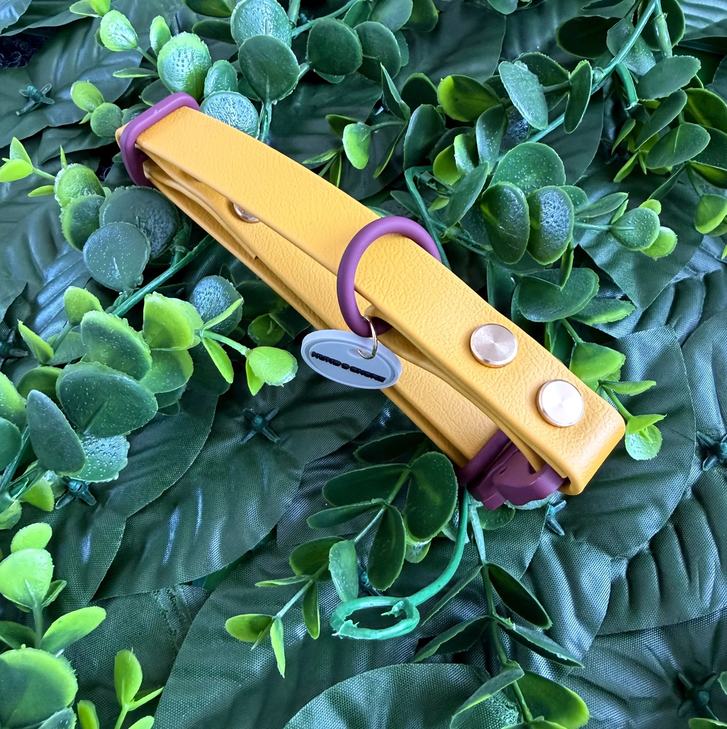 DOG COLLAR - THE GROVE - SUNSPOT