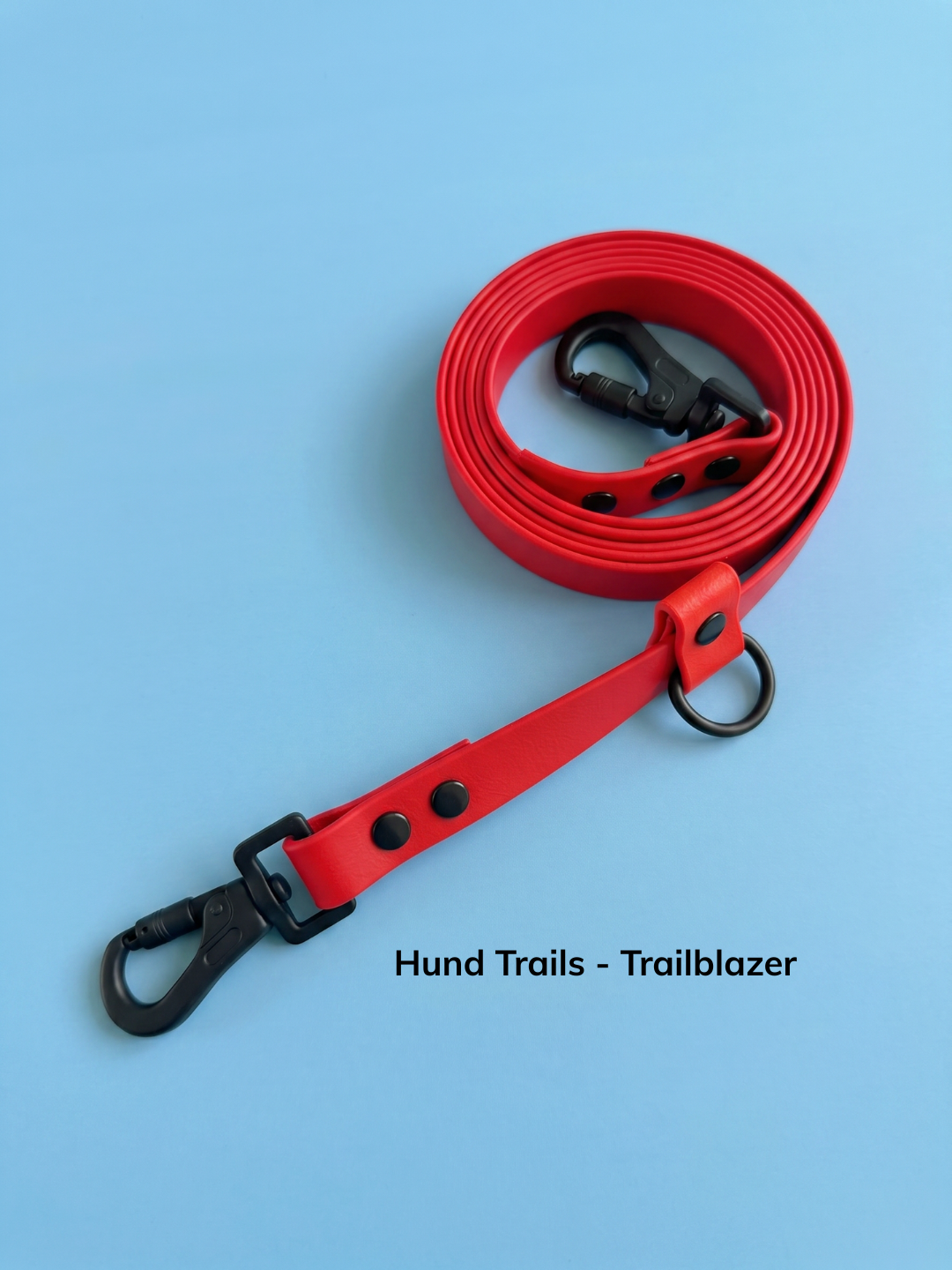 Hund Trails - Huckleberry (3).png