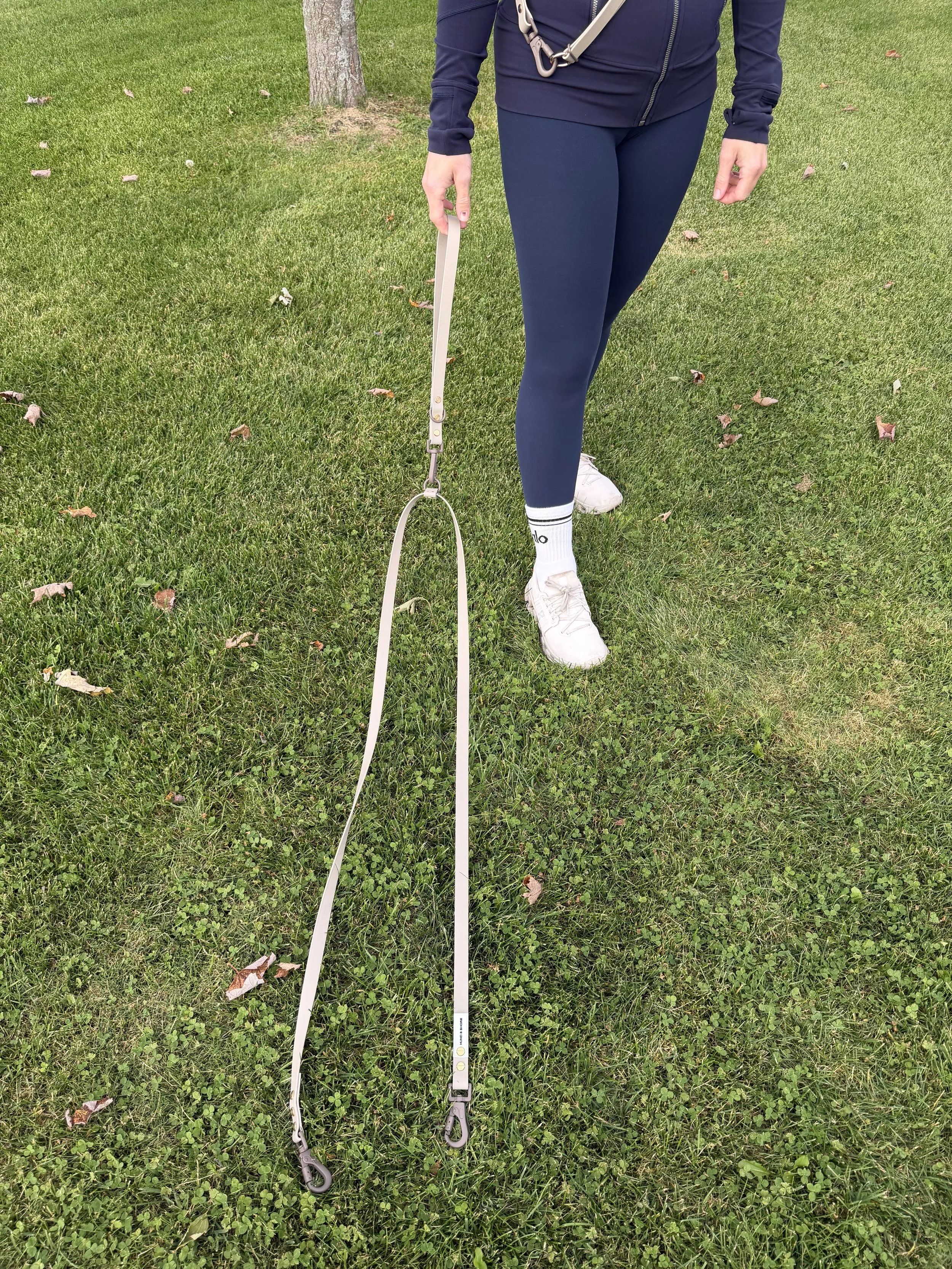 Leash extension for 2 dogs
