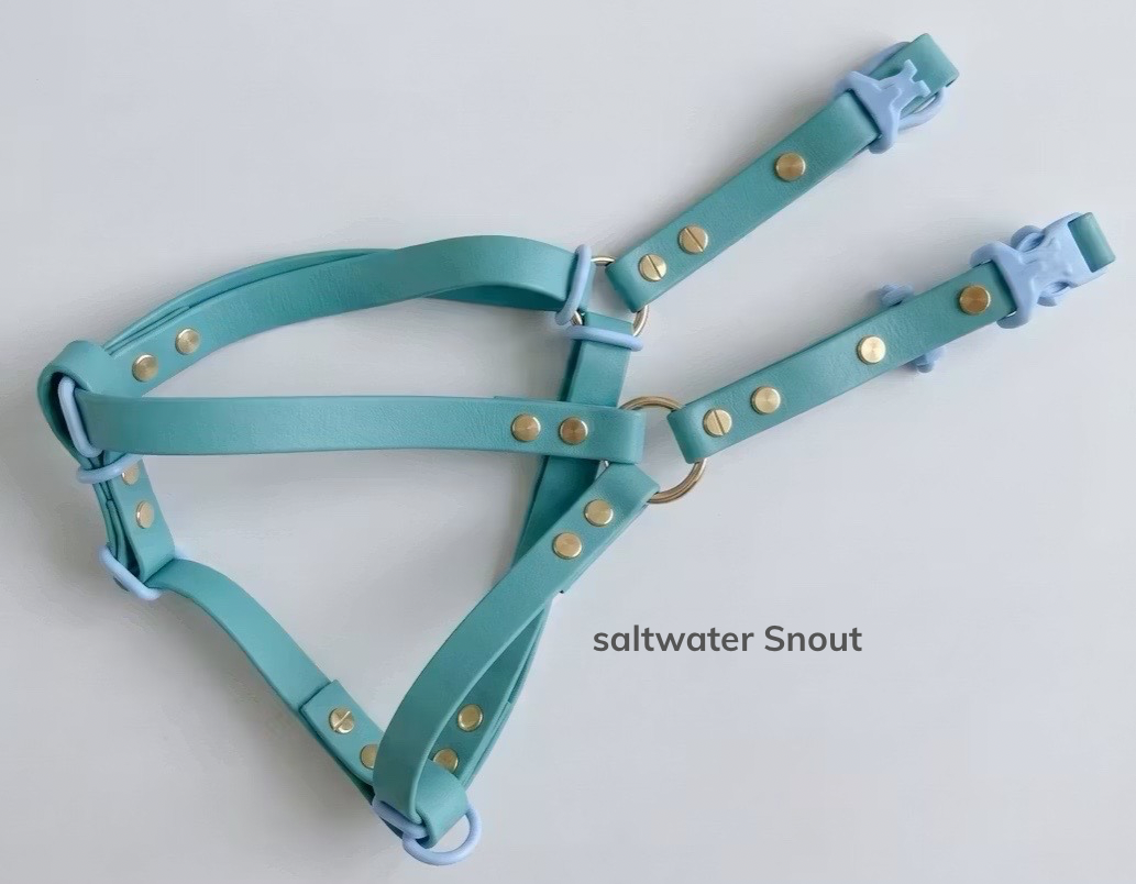 saltwater Snout.png