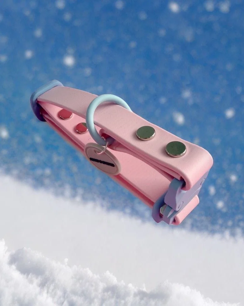 DOG COLLAR - ALPINE SKI CLUB - APRÈS PUP ROSÉ