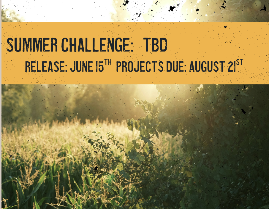 Summer Creative Challenge: TBD