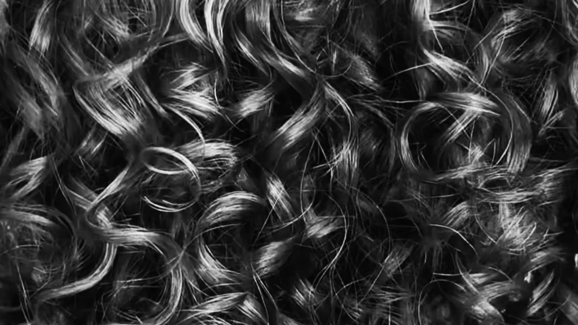 Euphoria158_Hamilton_Hair_Salon_Home.png