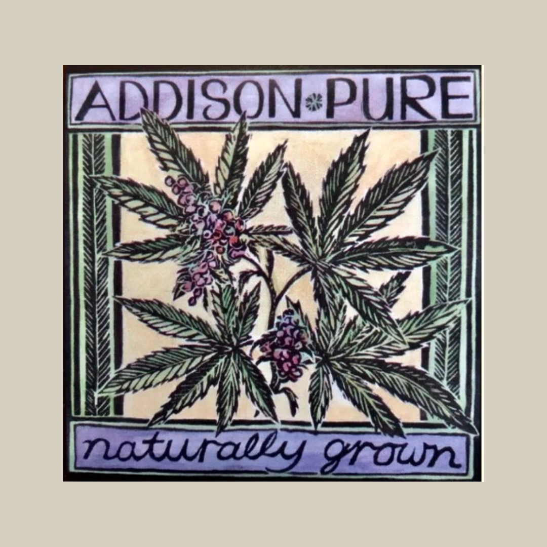 VENDOR DAY: Addison Pure