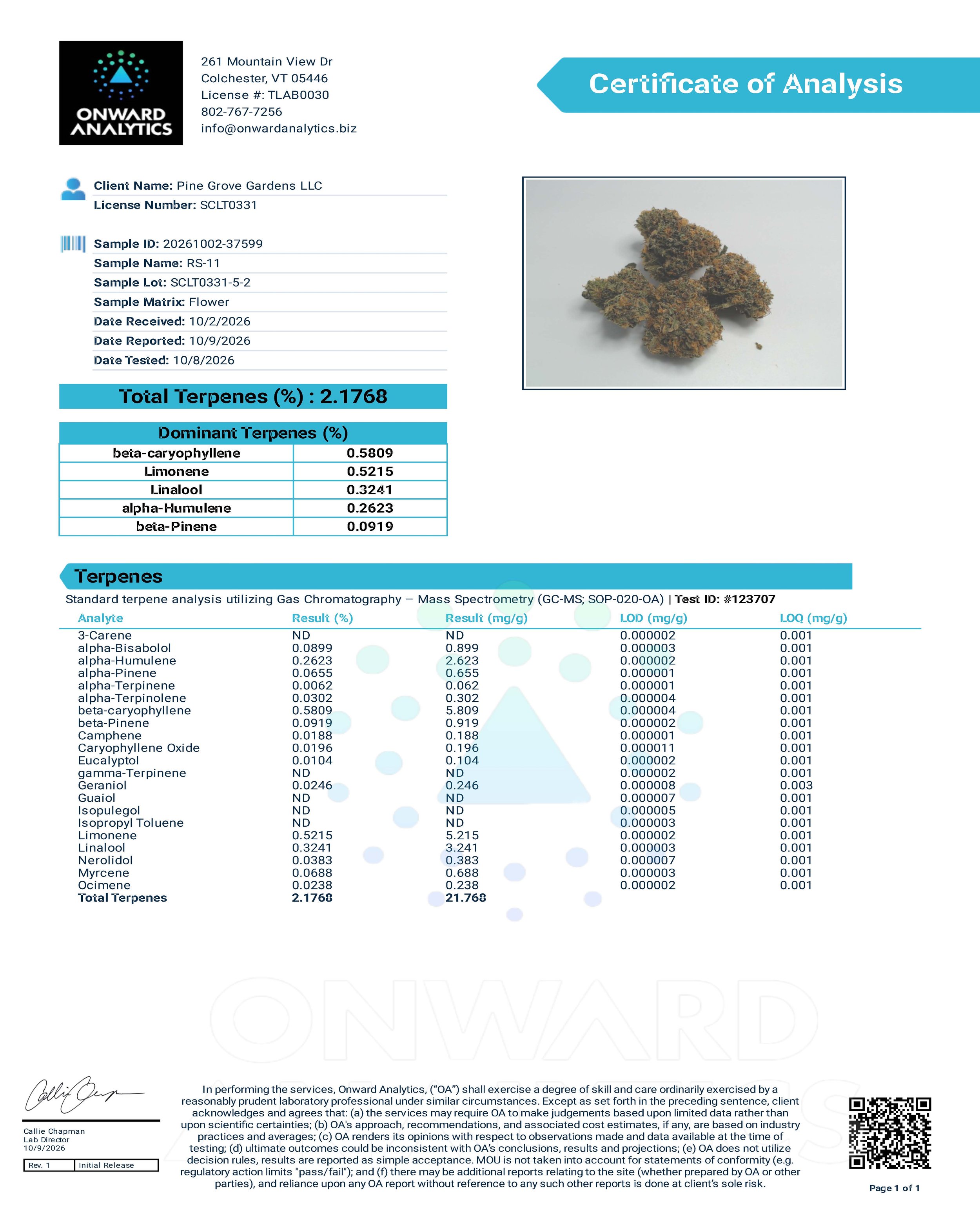 RS-11 Full Panel Results - PGG - SCLT0331-5-2_Page_2.jpg