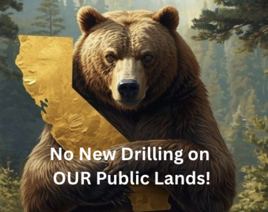 Protecting our Public Lands in California from New Oil Drilling  - Submitting our Comments in Real Time