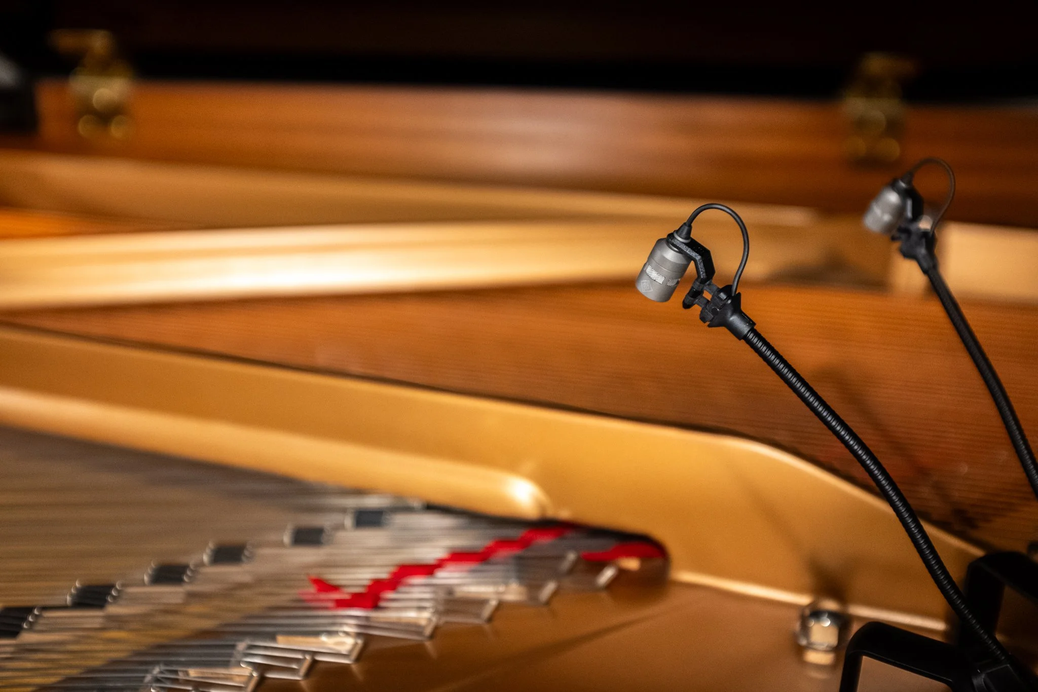 Innvendig deler av en flygel, med mikrofoner plassert over de svingende metallstrengene.