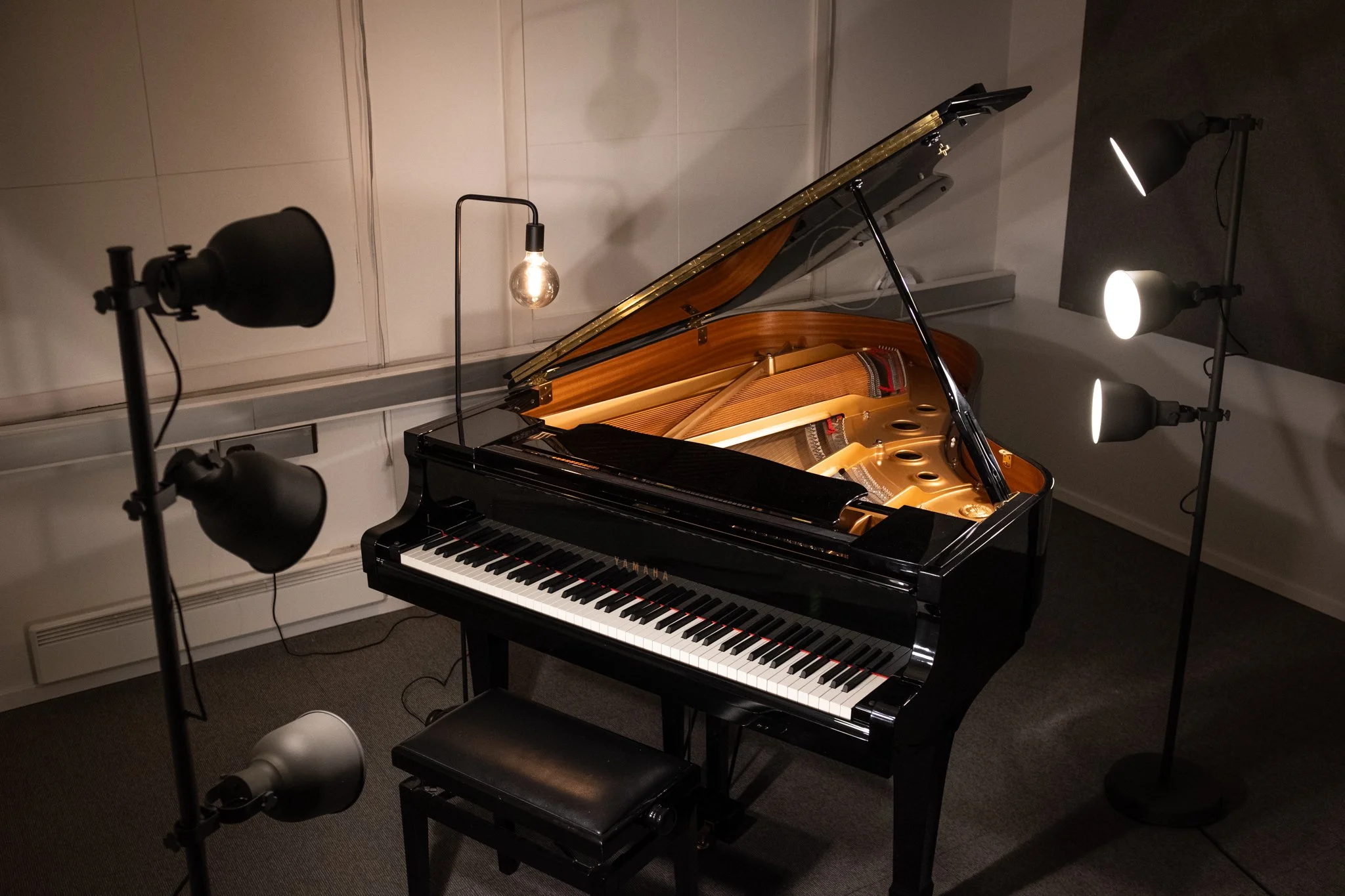 En svart flygel med åpen lokk, omgitt av fire studio lys med to på hver side, plassert i et rom med hvite vegger og mørk teppe.