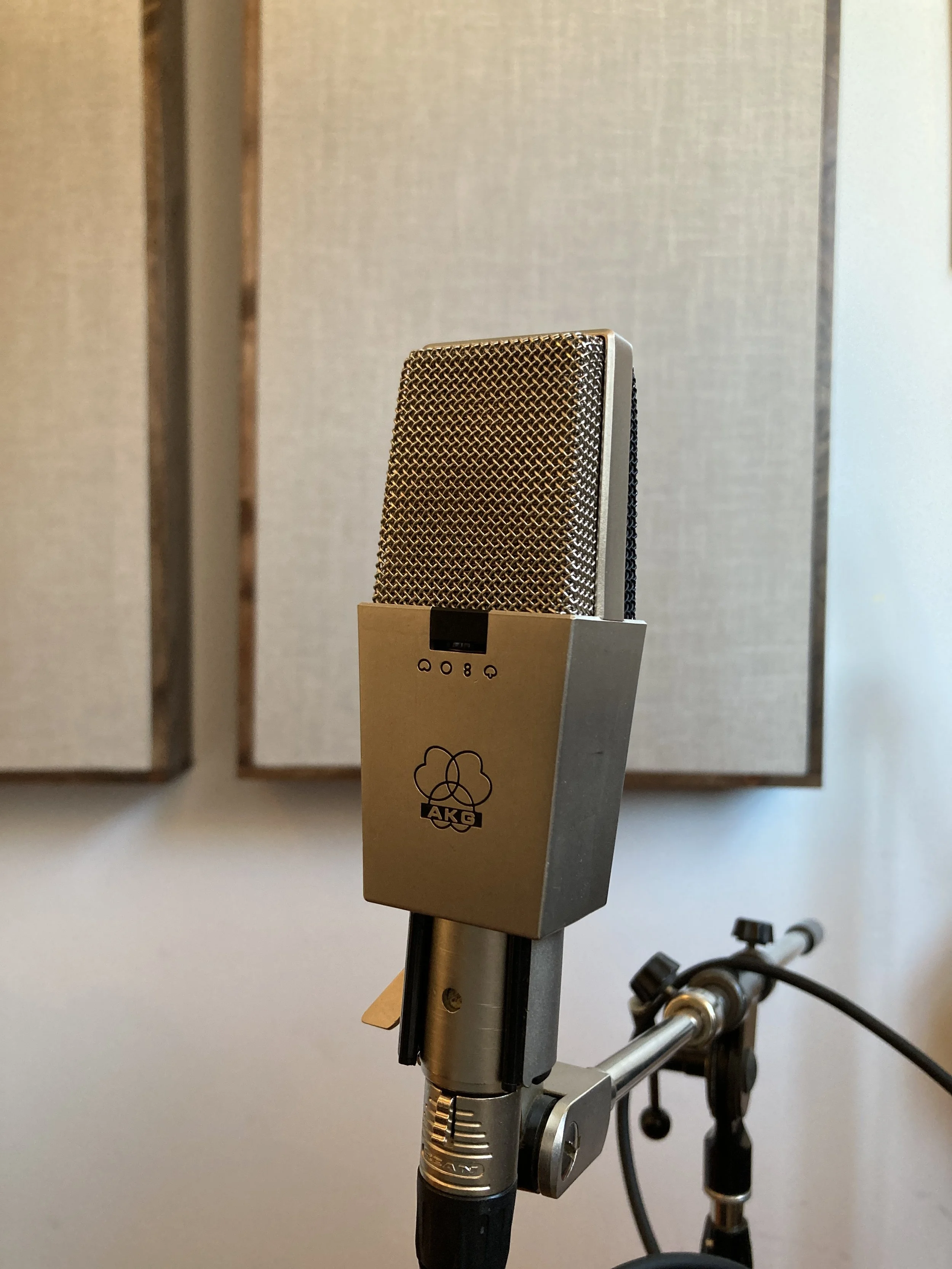 Et profesjonelt mikrofon montert på en stativ i et innspillingsstudio.