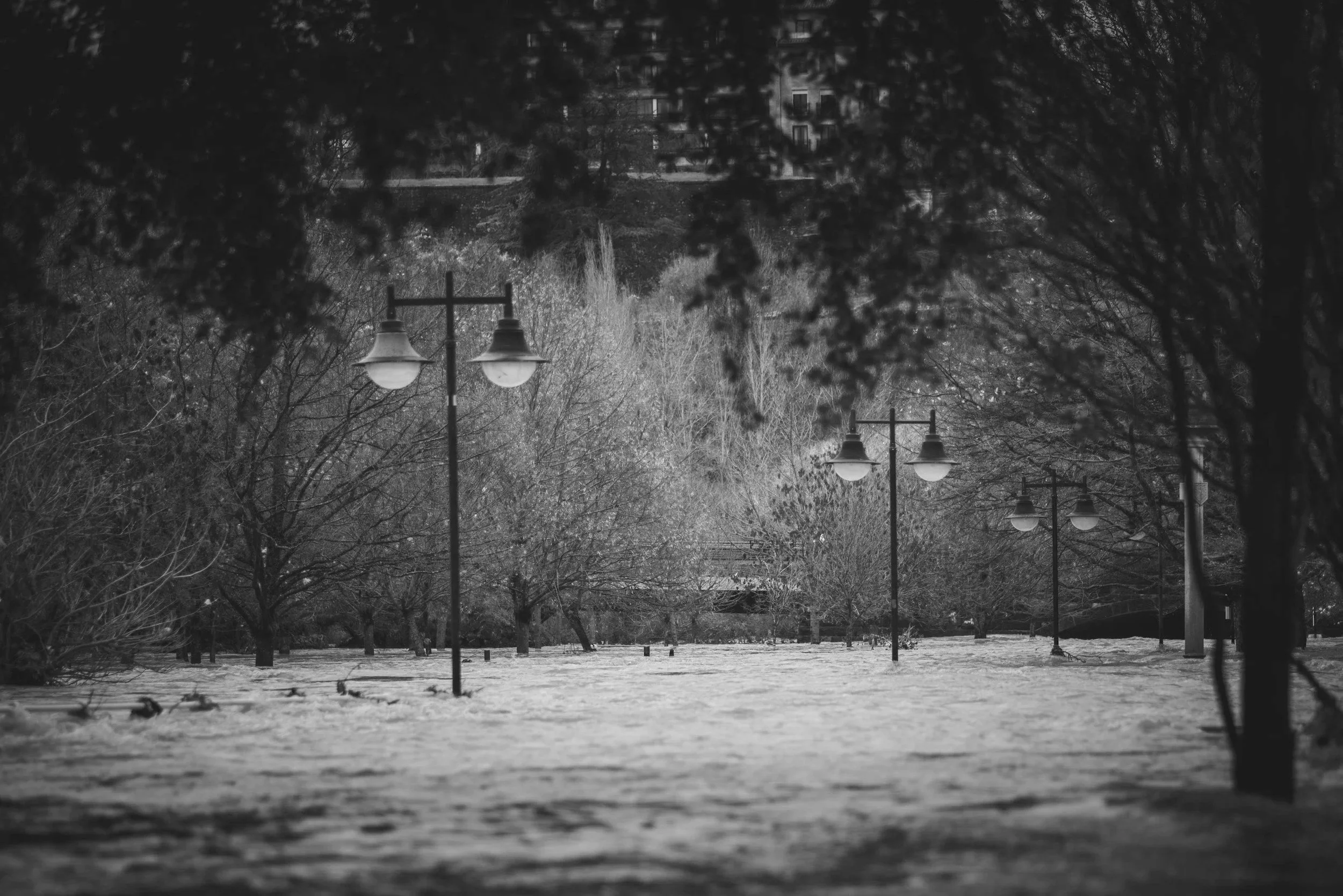 City of Asheville - Tropical Storm Helene