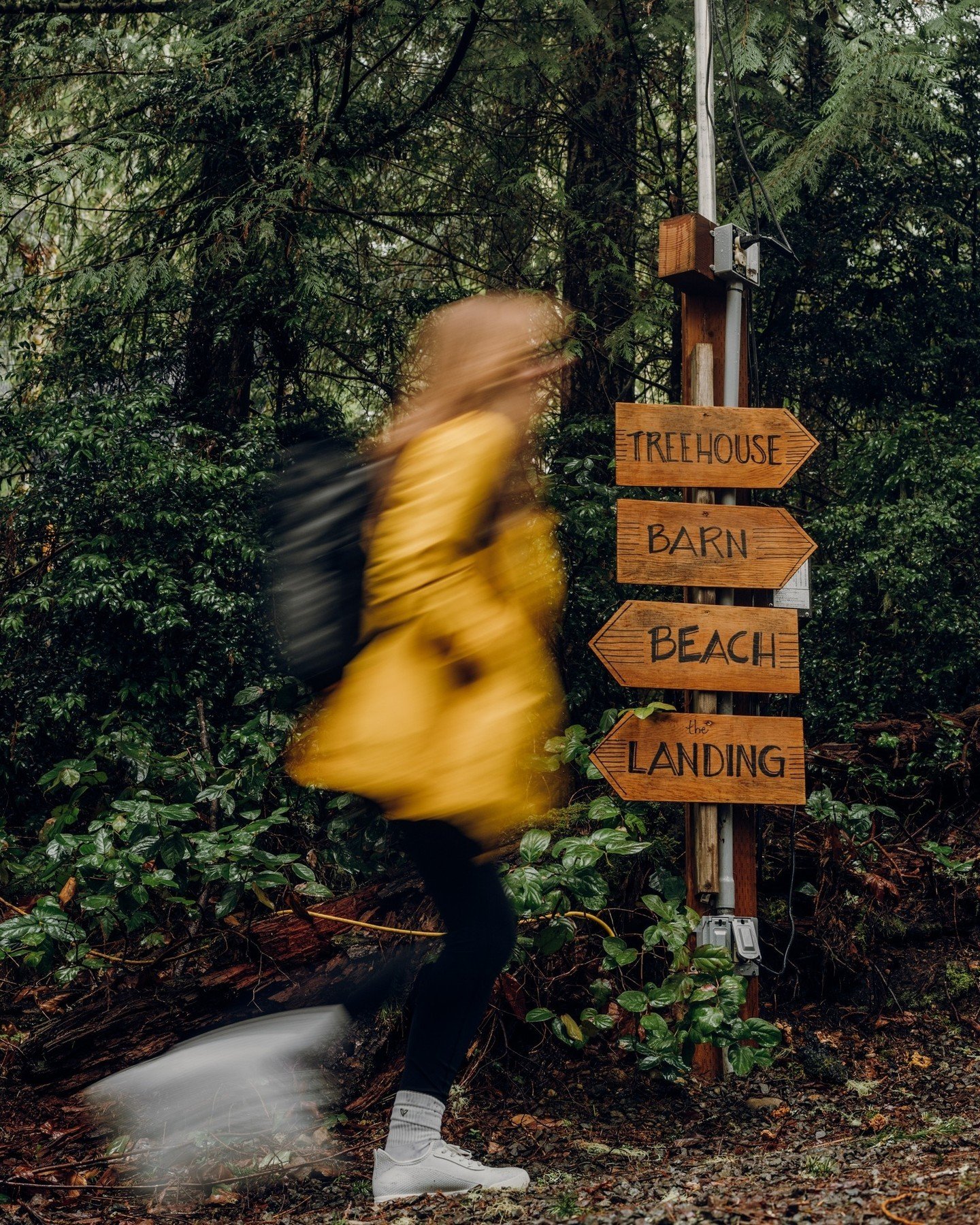 a little rainy day outdoor adventure in my new and cozy @vessi's on my treehouse escapade a few weeks ago. ⁠
⁠
i learned about vessi through the sustainability space and was intrigued by their promise of *completely* waterproof shoes. and ddaaaamn y'