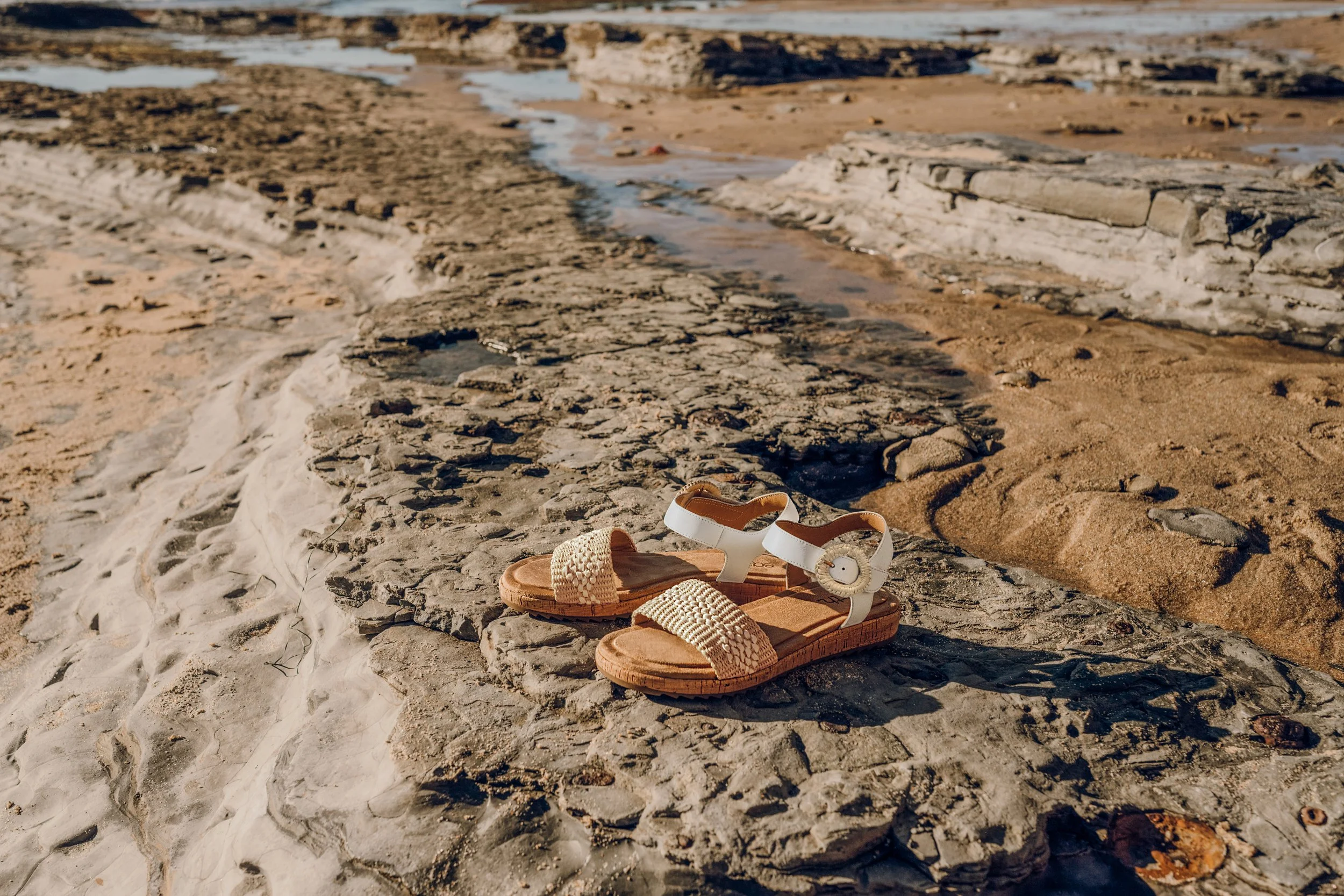 EA_SPRING25_PADMA (1).jpg