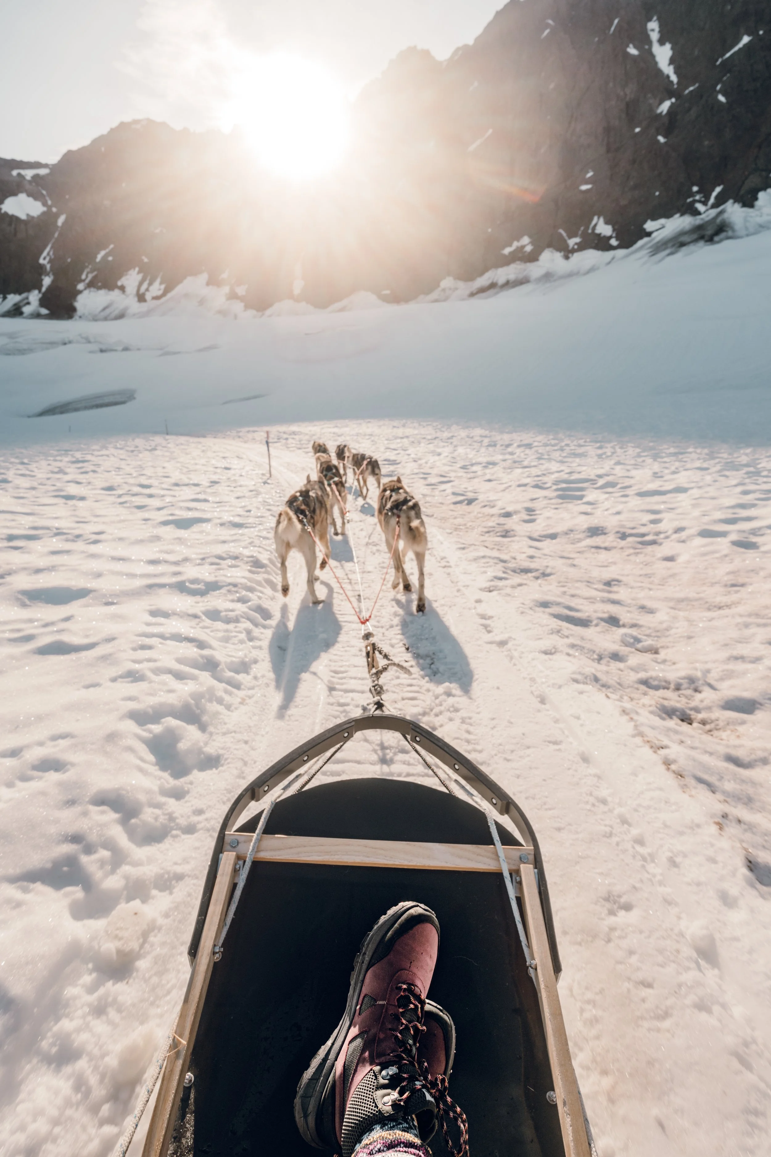 forsake-alaska-finals-9 (3).jpg