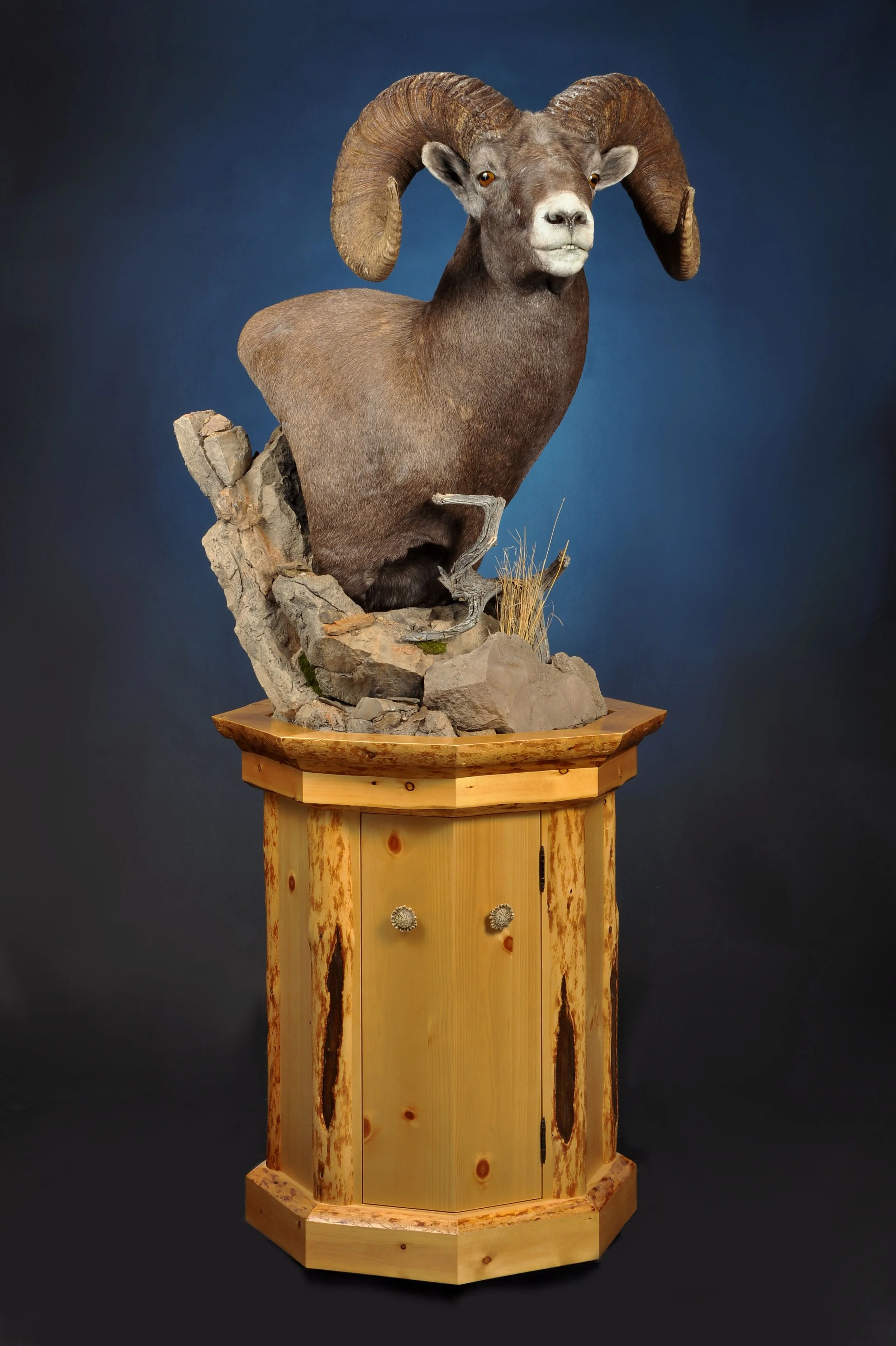 SHP14d- Floor Pedestal w/ Habitat- Right Turn- Pine Base