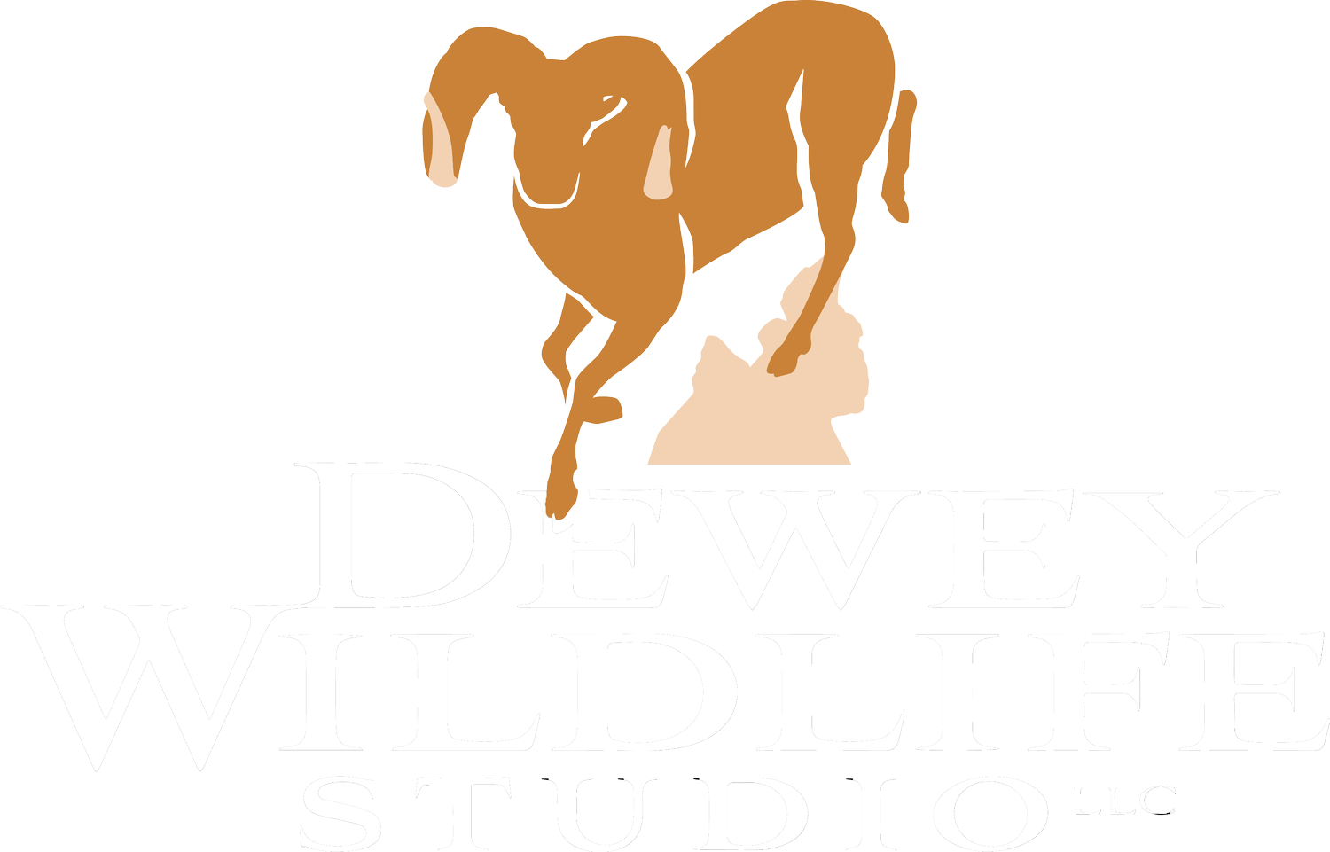 Dewey Wildlife Studio LLC.