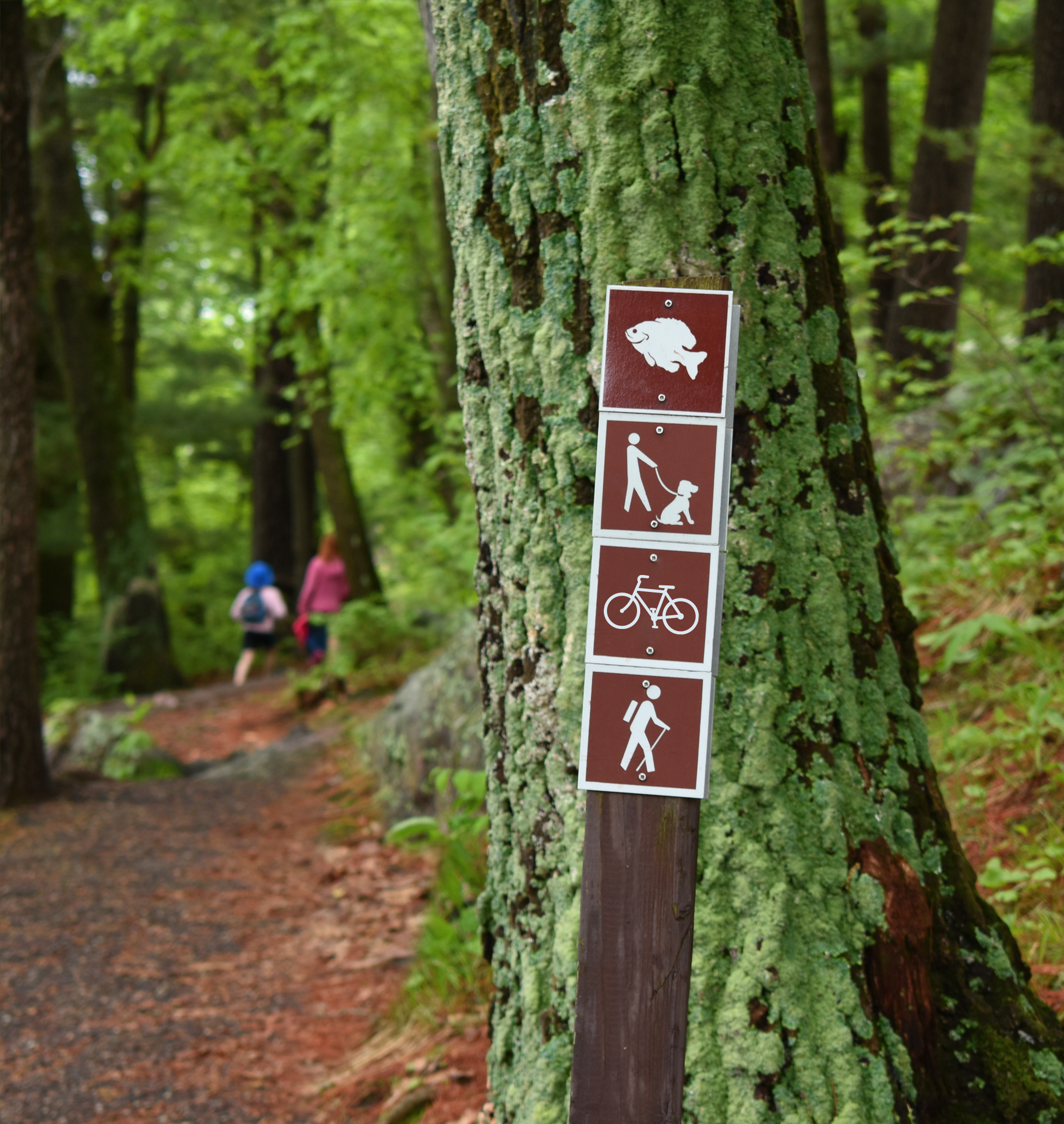 A trail sign in the woods lists acceptable recreational activities including: fishing, dog walking, biking, and hiking.