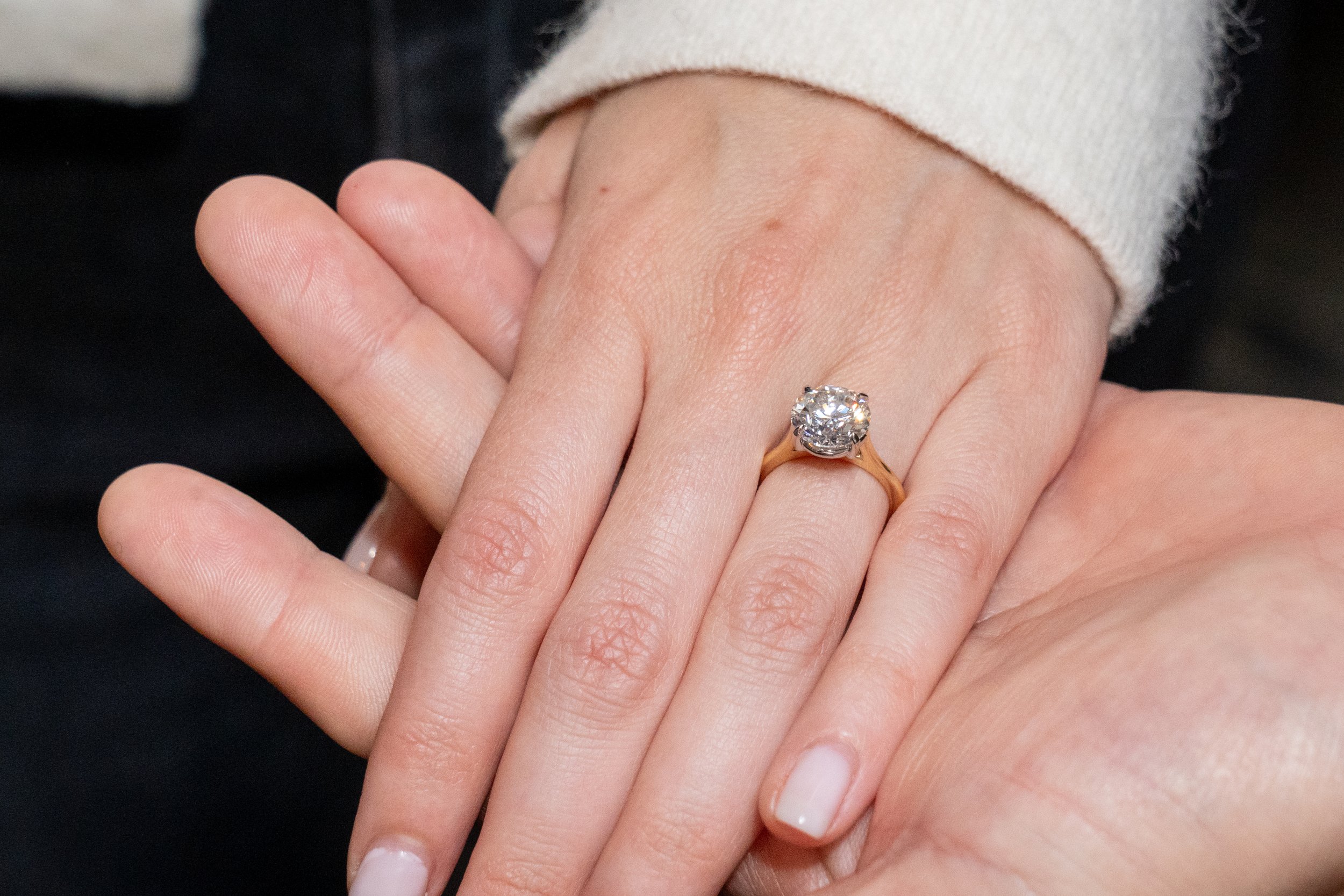 Charlie and Danielle Proposal - 04 19 2025 -057.jpg