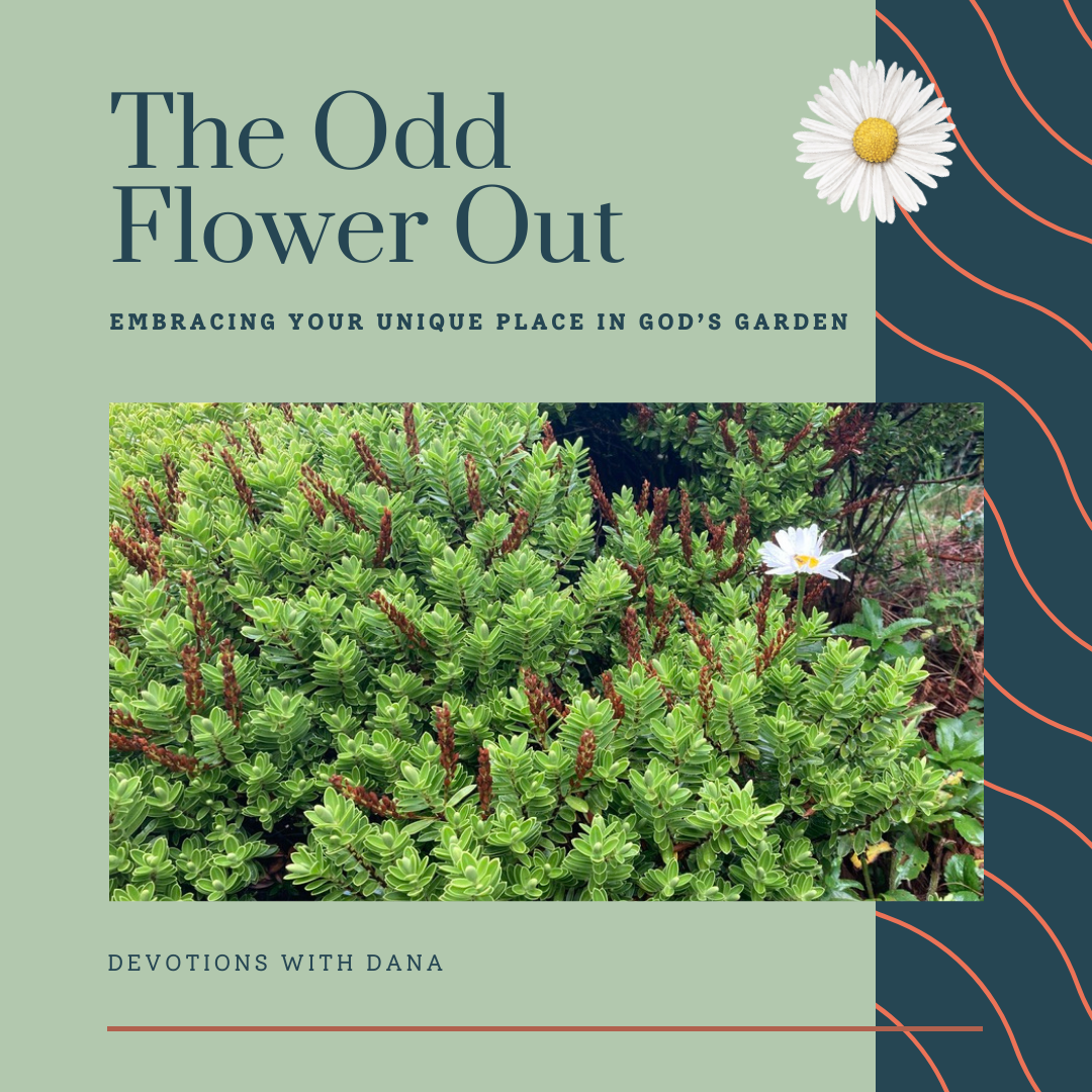 The Odd Flower Out
