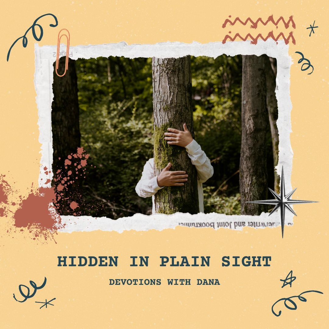 Hidden in Plain Sight