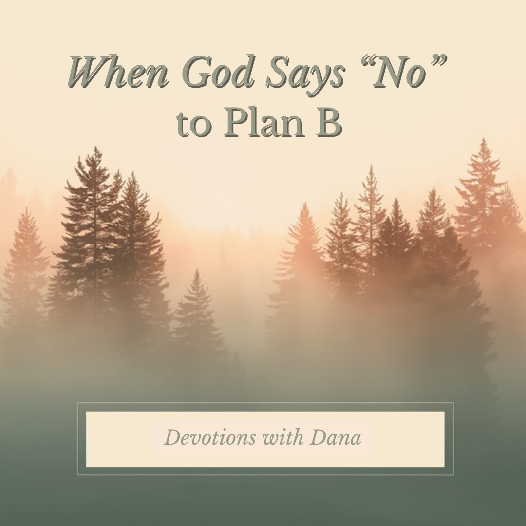 When God Says “No” to Plan B