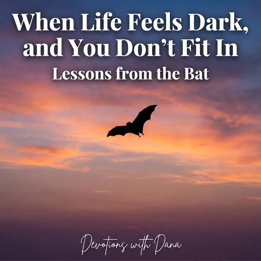 When Life Feels Dark, and You Don’t Fit In