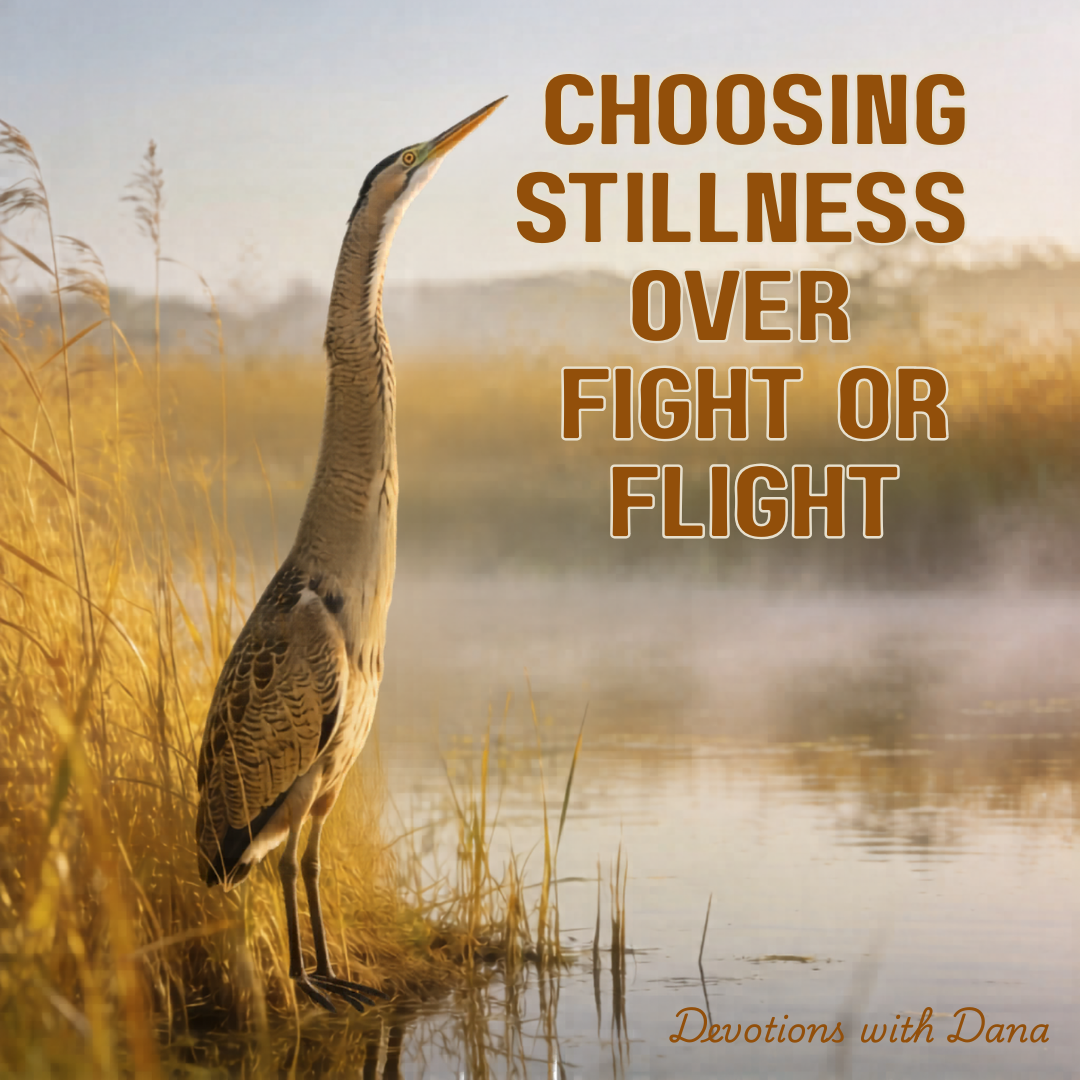 Choosing Stillness Over Fight or Flight
