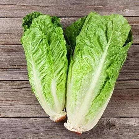 Paris.jpeg