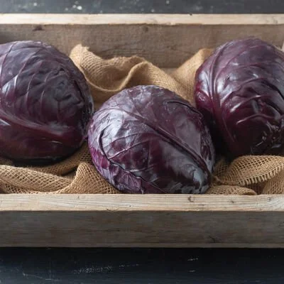 PLANTS: Cabbage, Red Mini