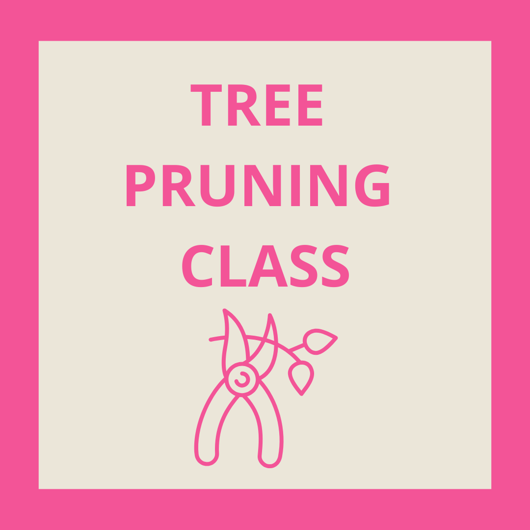 Fruit Tree Pruning Class