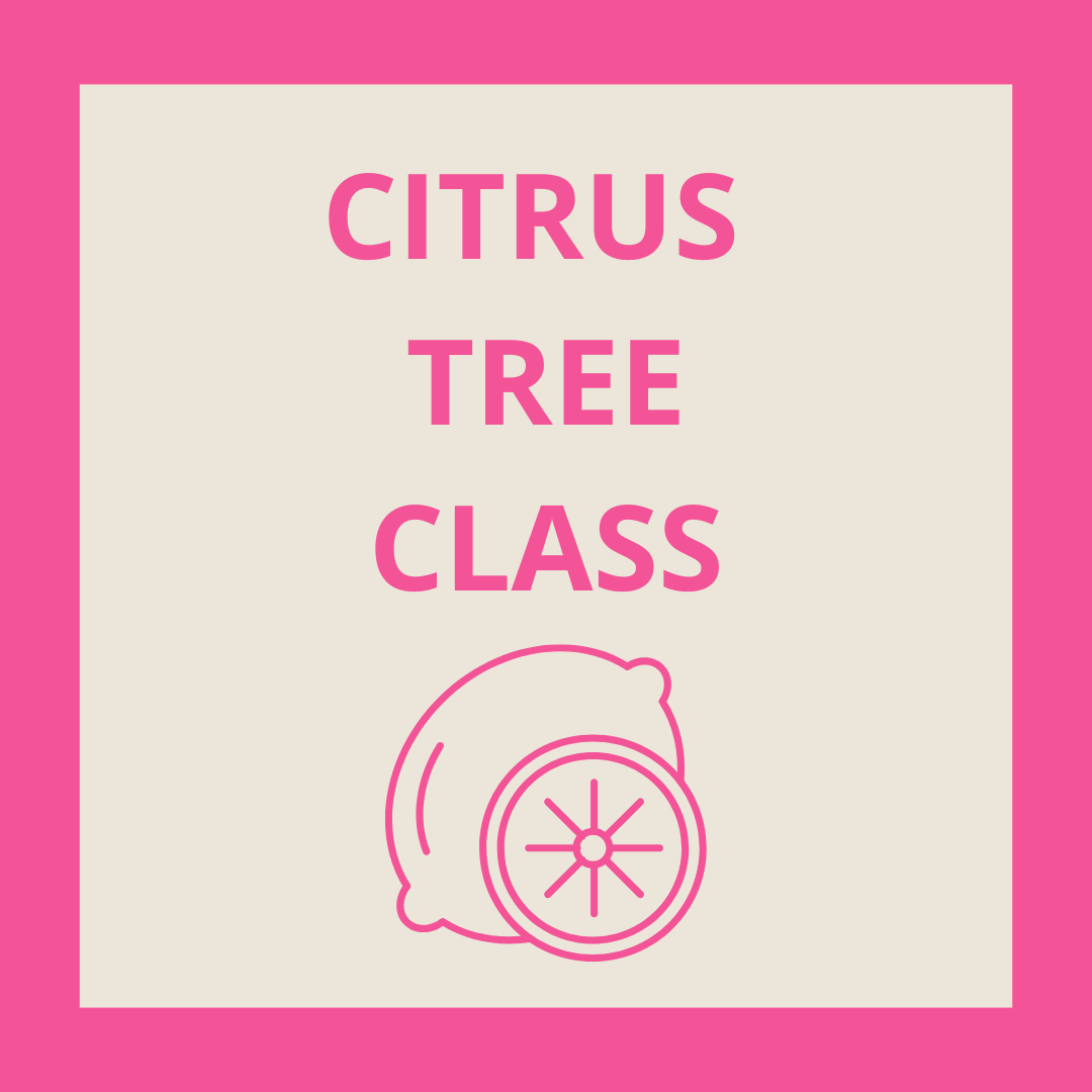 Caring for Your Citrus Trees Class