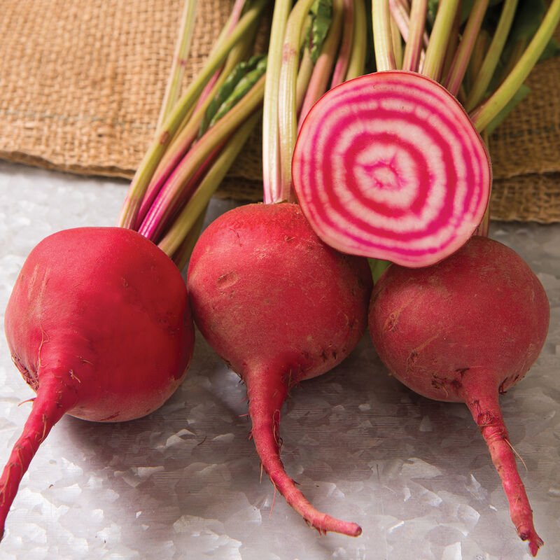 PLANTS: Beets, Striped