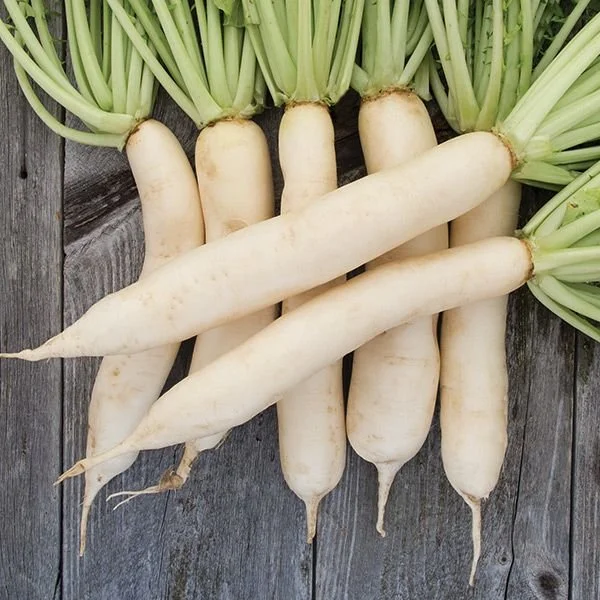 Daikon.jpg