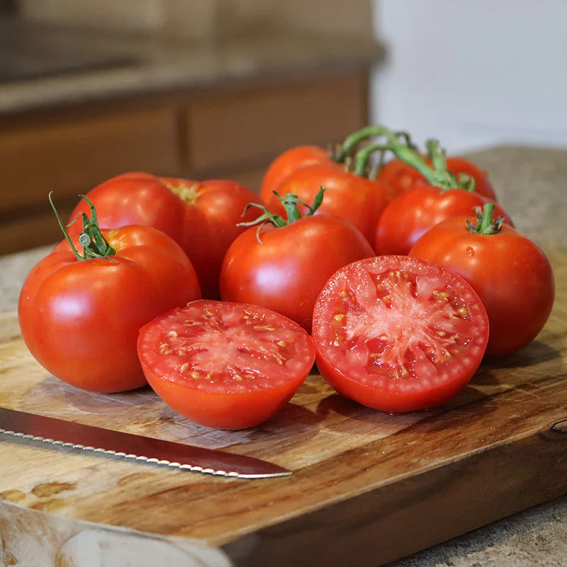 PLANTS: Tomato, Better Boy Plus