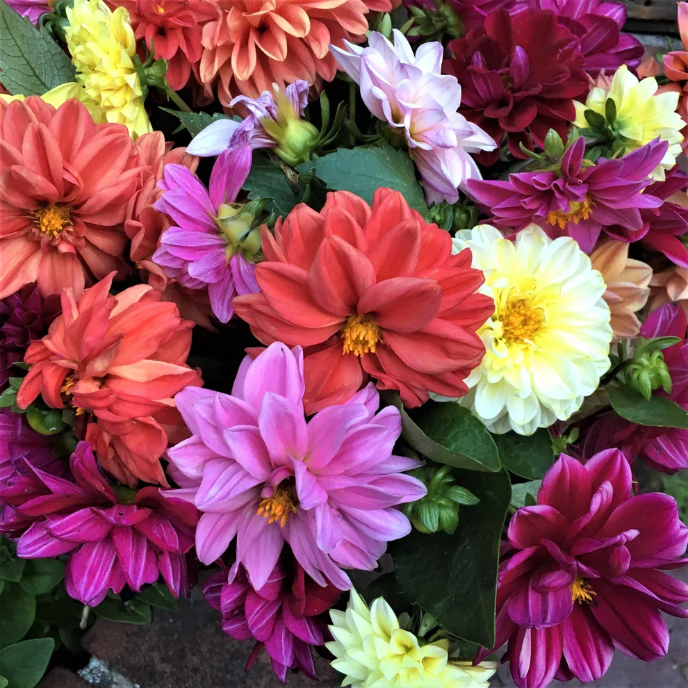 Watercolor Silks 1.webp