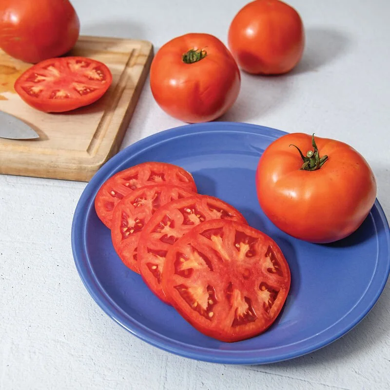 PLANTS: Tomato, Jolene