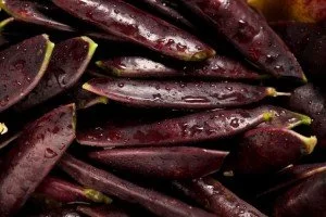 PLANTS: Peas, Sugar Snap Purple