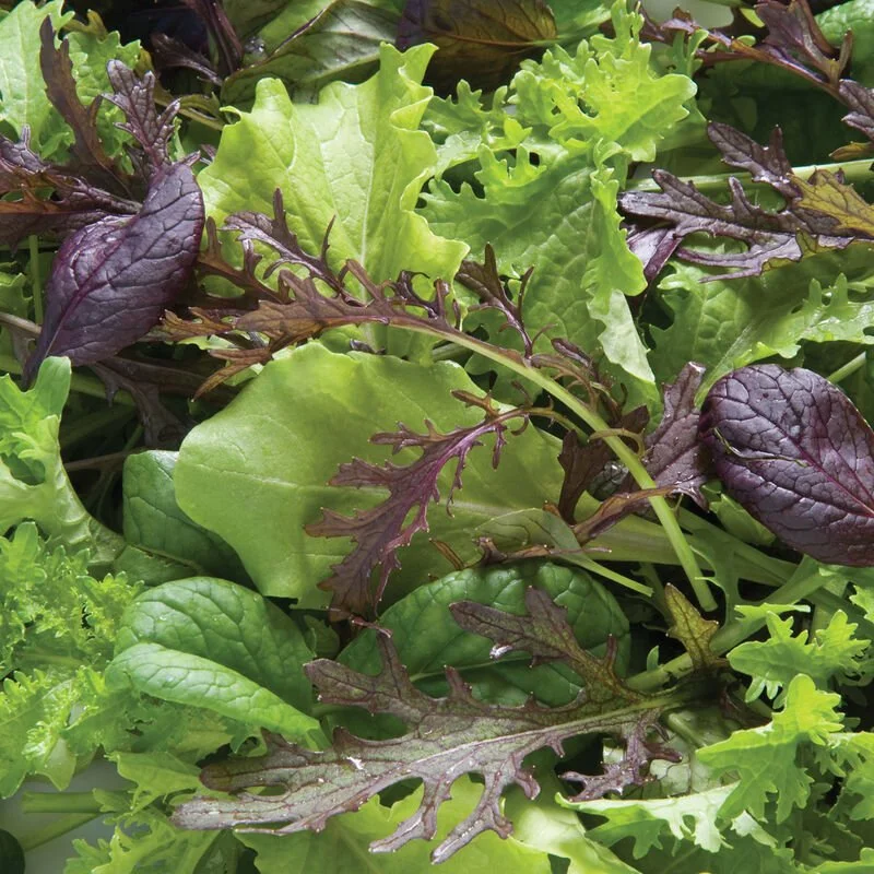 Greens Mix.jpg
