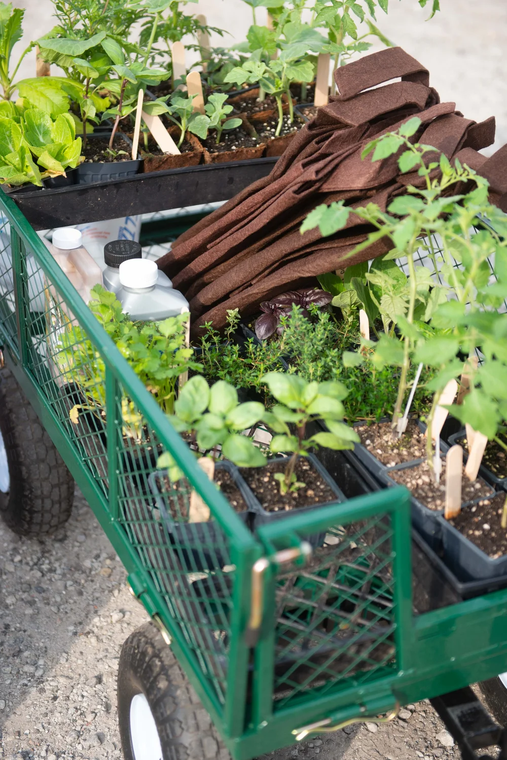 Sales & Events — Rita's Roots