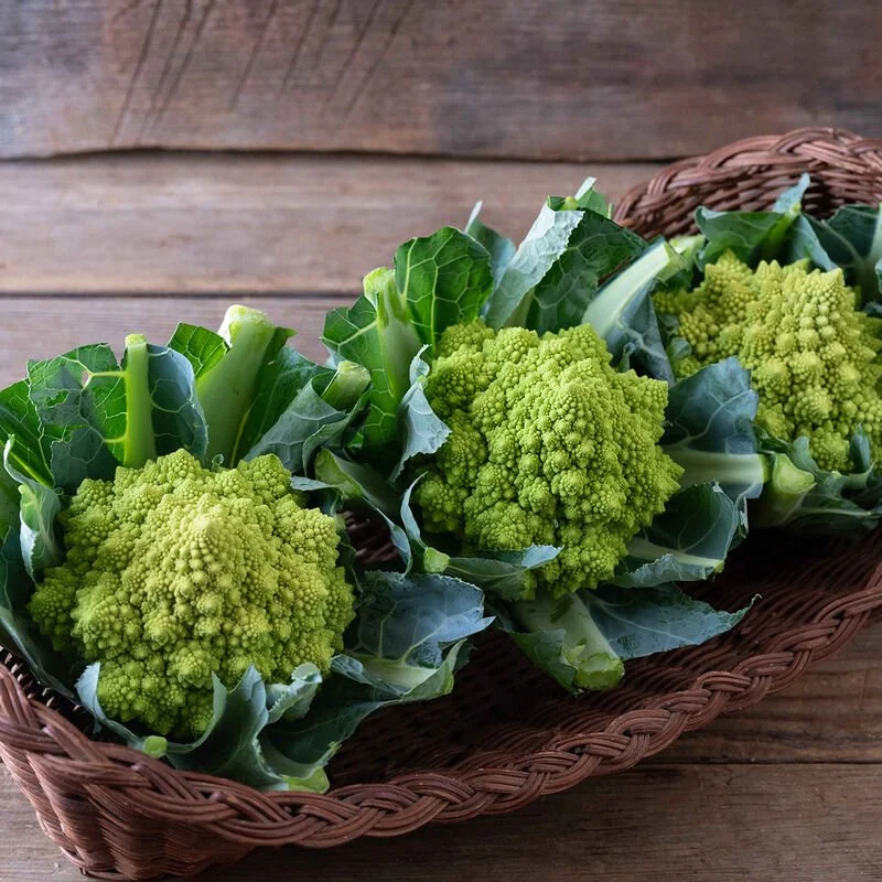 PLANTS: Cauliflower, Green