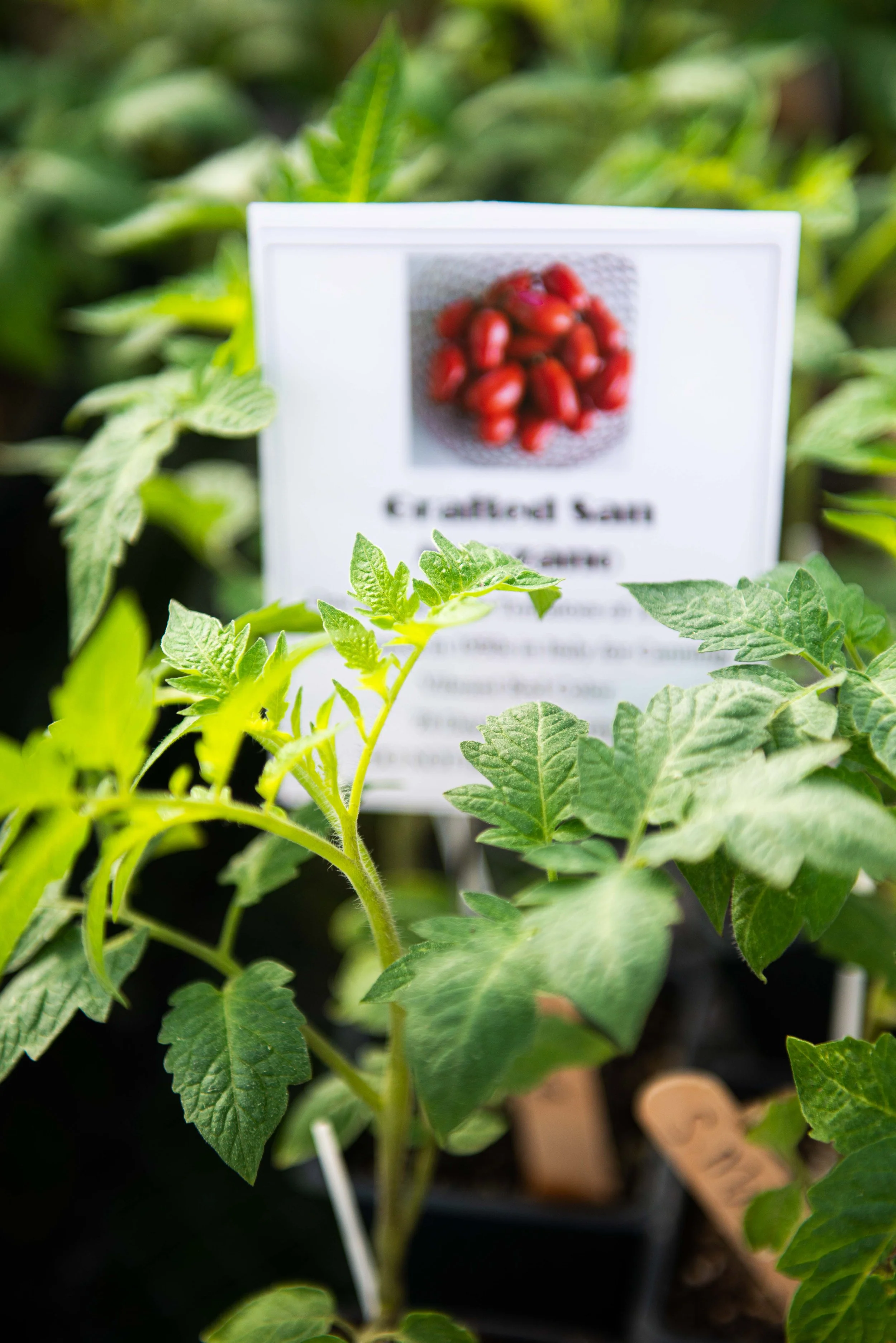 RR spring 2021-55.jpg