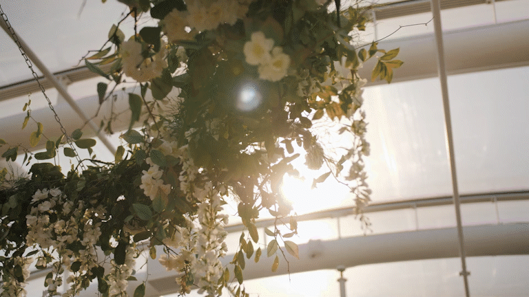 Hanging flower arrangement with white flowers and green leaves, sunlight shining through a glass ceiling.