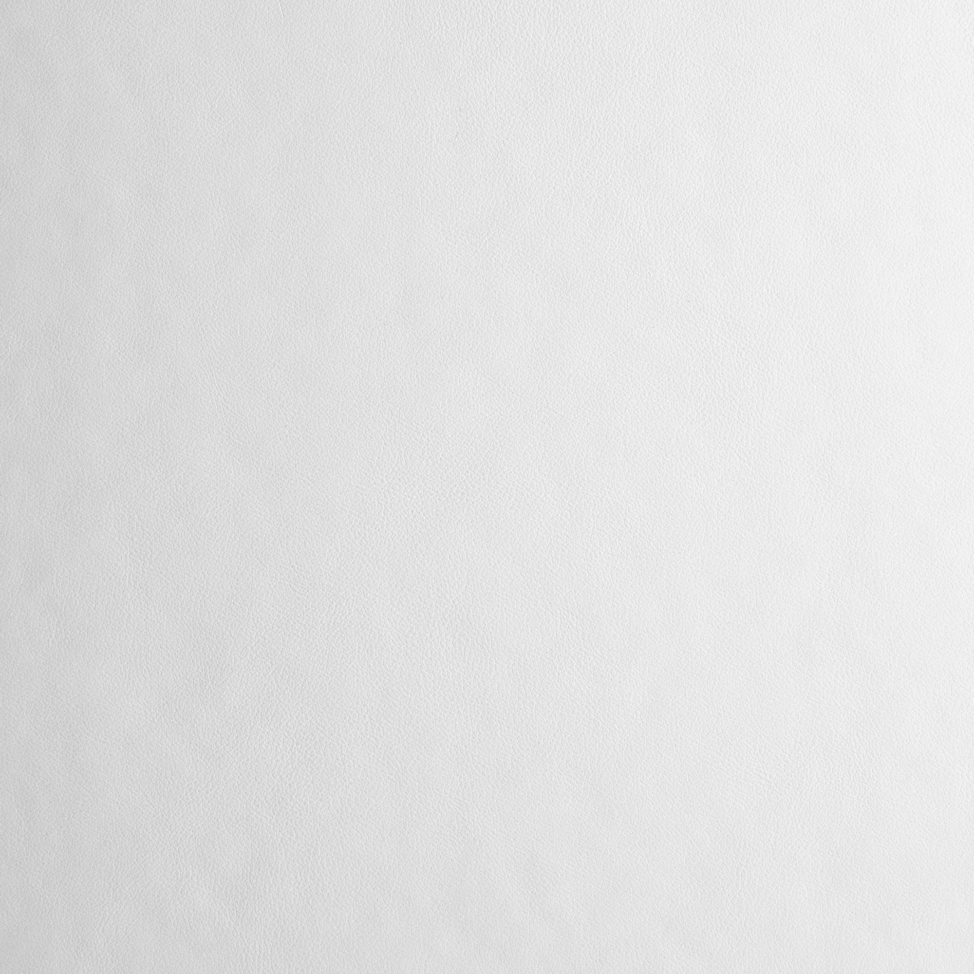 Leather Polar