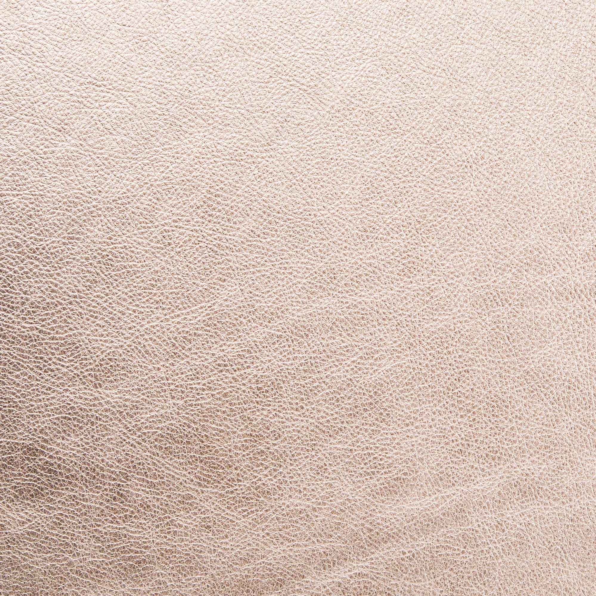 Metallic Champagne
