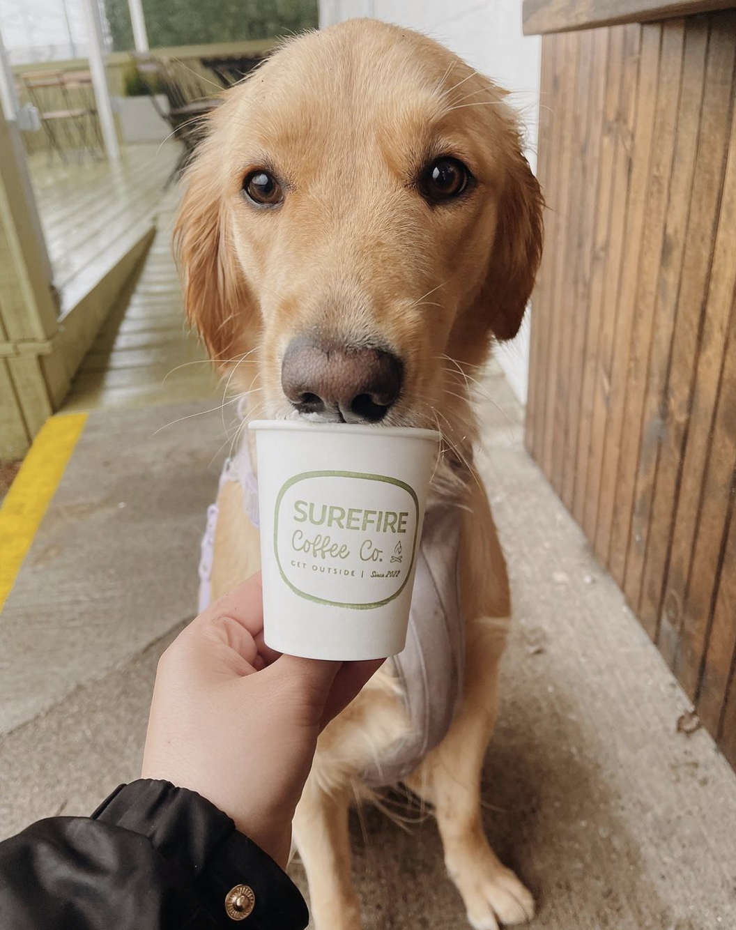 Screen Shot 2024-02-27 at 3.00.24 PM.png