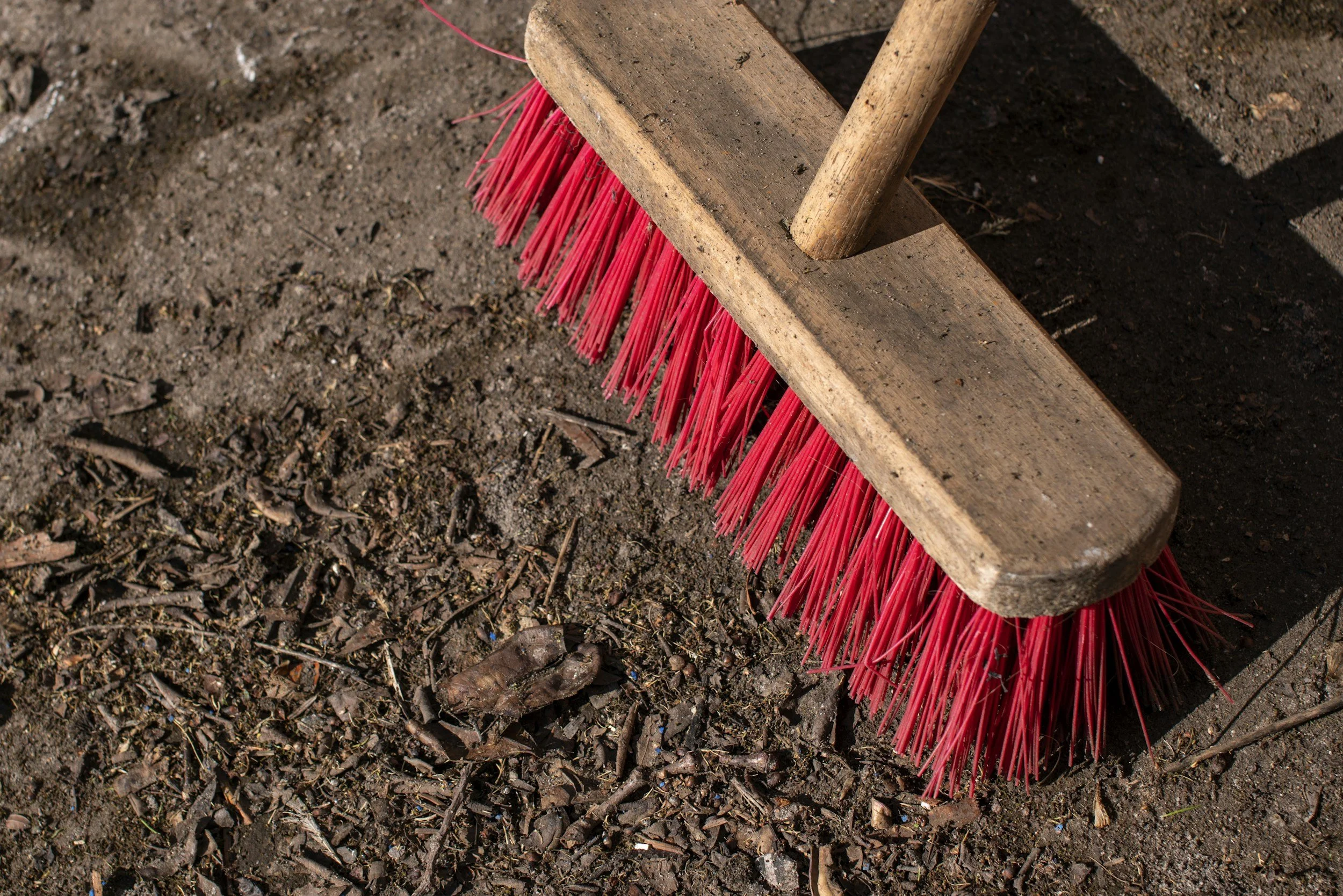 Spring Cleaning Your Business: Refresh Operations for Better Efficiency