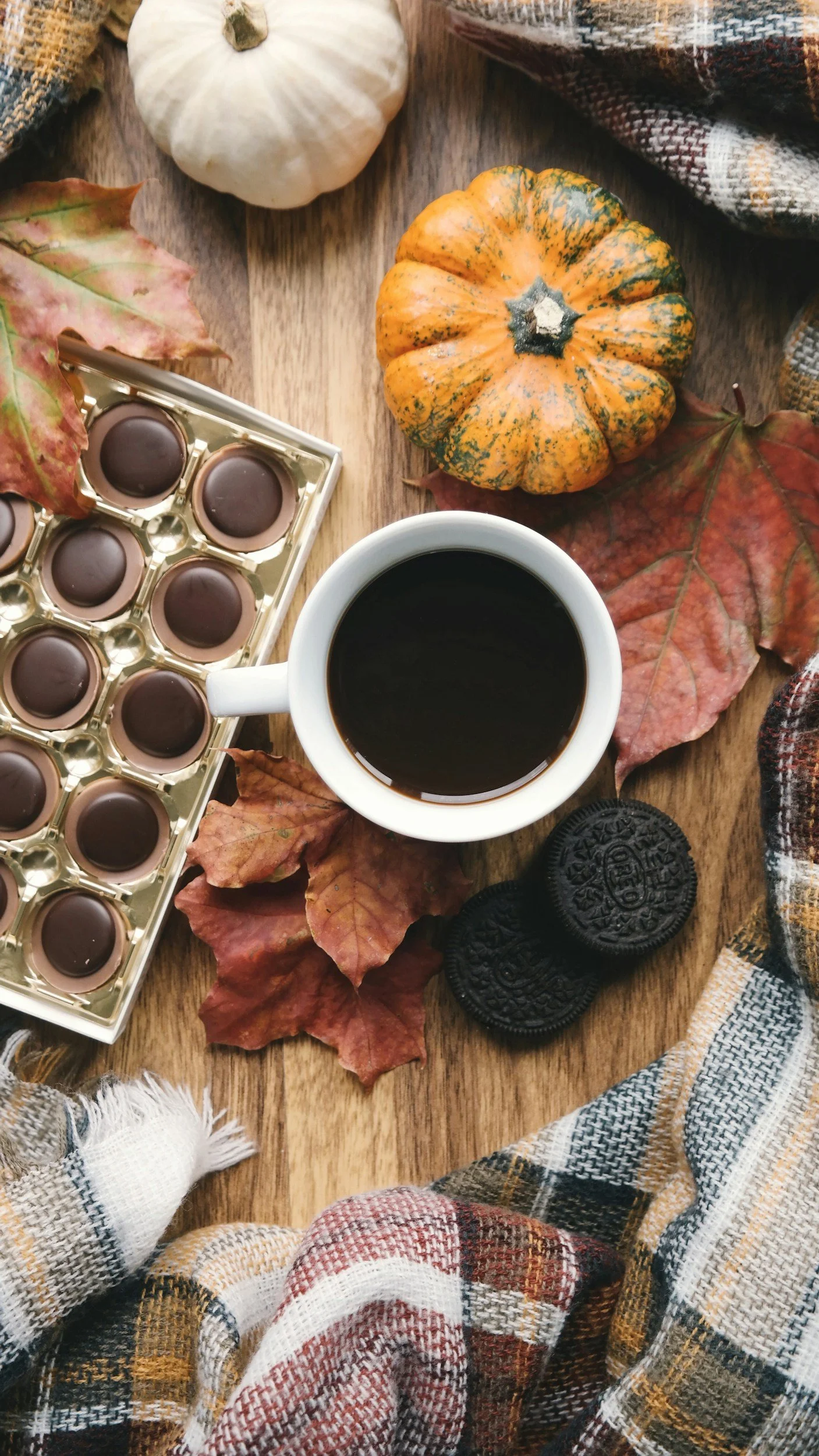 What Food Entrepreneurs Should Know Before Booking Fall Events