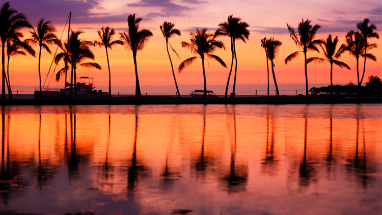 Hawaii & Heart Attacks: When the Heart Breaks
